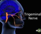 learn about different types of headaches