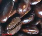 the benefits of coffee aroma
