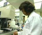 kinder gentler leukemia transplant
