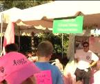 breast cancer survivor leslies story