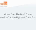 where an anterior cruciate ligament graft comes from