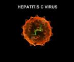 learn about hepatitis c