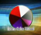 what labia colors mean