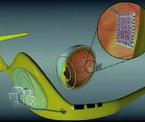 how the prototype bionic eye works