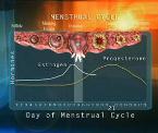 how hormones affect womens mood