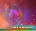 stem cell treatment for lymphoma