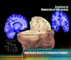 how negativity affects the brain