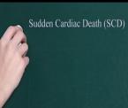 sudden cardiac death in young athletes