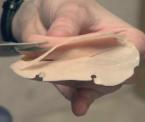 maxillofacial prosthetic artist robin hajdu at work