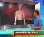 the anatomy of the male orgasm