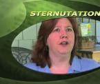 what sternutation means