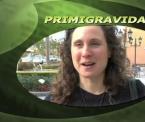 what is a primigravida