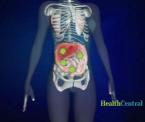 natural killer cells to combat liver cancer