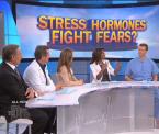 how stress fights fear