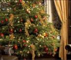 how to alleviate christmas tree allergens