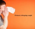 pertussis whooping cough overview
