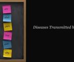diseases transmitted by pets