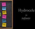 hydrocele in infants
