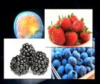 foods that may help boost your brain power