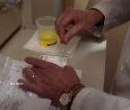 myth or reality poppy seeds affect a drug test