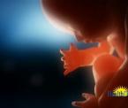 high blood pressure may affect babies iq