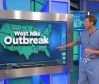 how to avoid the west nile virus outbreak
