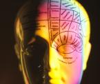 the autism spectrum