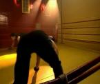 overview of kung fu workout dog crawls