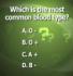 the most common blood type quiz