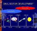oral motor development swallow